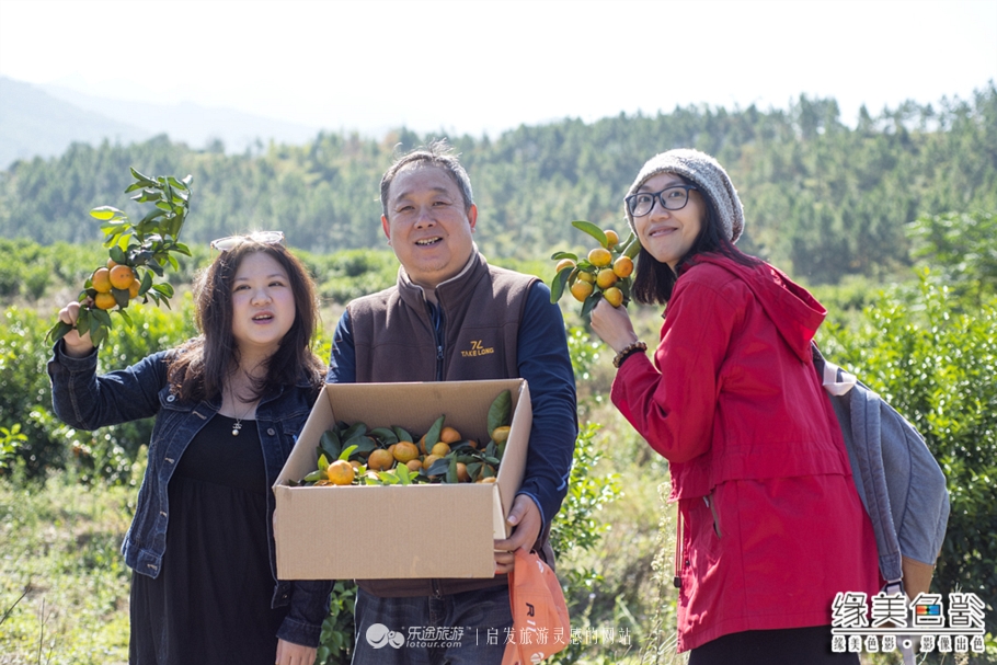 韶关新丰山间小溪自然风景,新丰最美景点