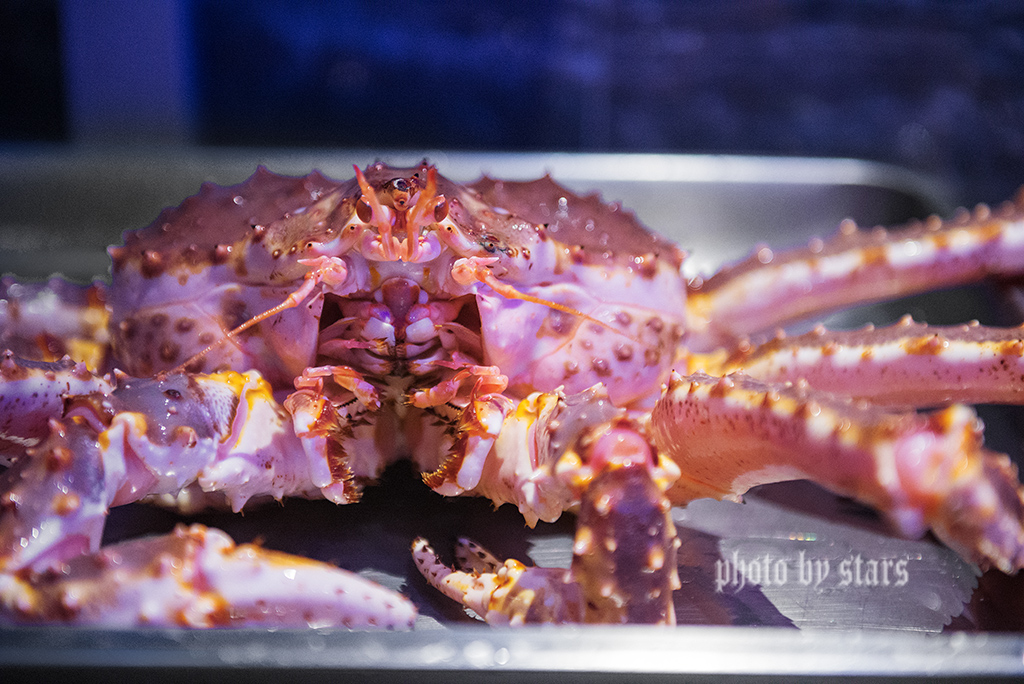 又一家暖爆上海冬天的网红黄金锅，让你穿越TVB