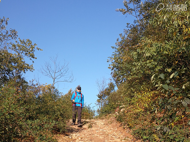 小鹰osprey登山包推荐,kestrel小鹰登山包