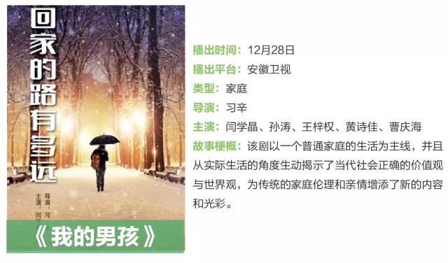 琅琊榜2司马懿当皇帝,大军师司马懿连续剧完整版解说