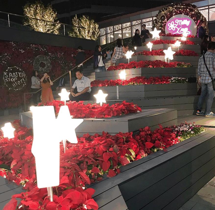 香港圣诞夜旅游攻略,香港圣诞攻略