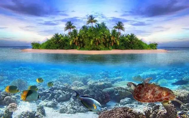 泰国芭提雅什么岛好玩,泰国竹子岛好玩吗