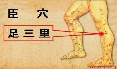 脾虚湿气重能不能用拔罐和艾灸治,艾灸治疗脾虚最好的方法