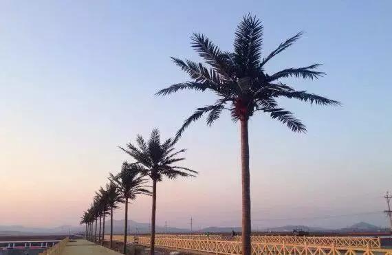 大连星海广场改造现在能玩吗,大连星海广场改造后的效果图