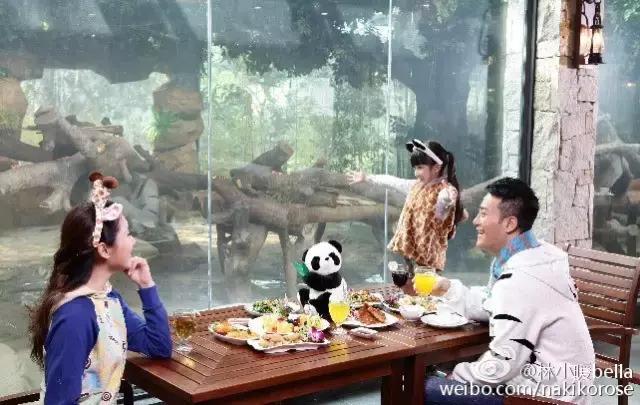 两大一小广州长隆亲子游攻略,最新广州长隆带娃游玩攻略2天