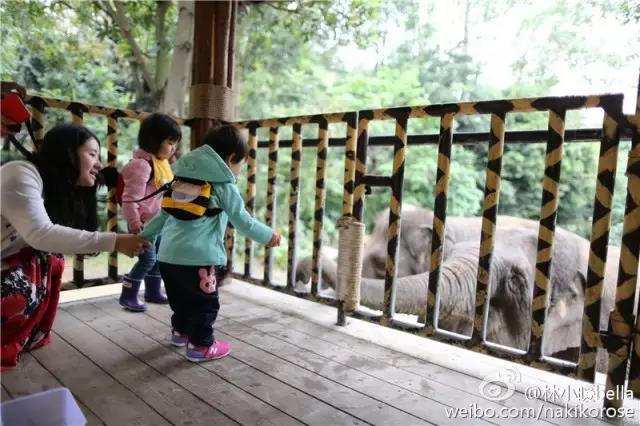 两大一小广州长隆亲子游攻略,最新广州长隆带娃游玩攻略2天