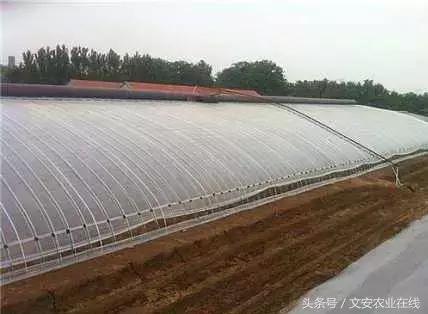 建个种植大棚要多少钱,盖个蔬菜大棚一亩要多少钱