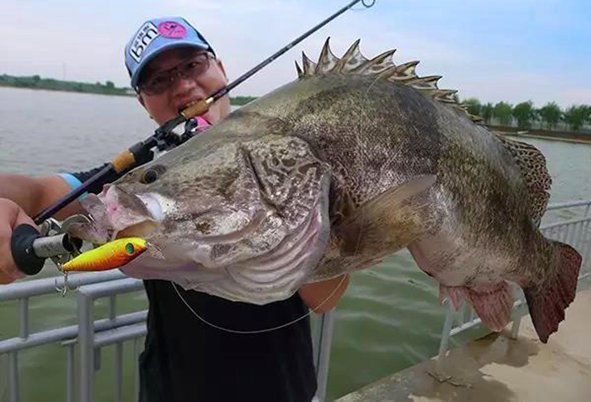 路亚鳜鱼技巧和口诀,夏季路亚鳜鱼攻略