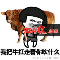 dnf百花谁玩得好,dnf百花是百分比职业吗