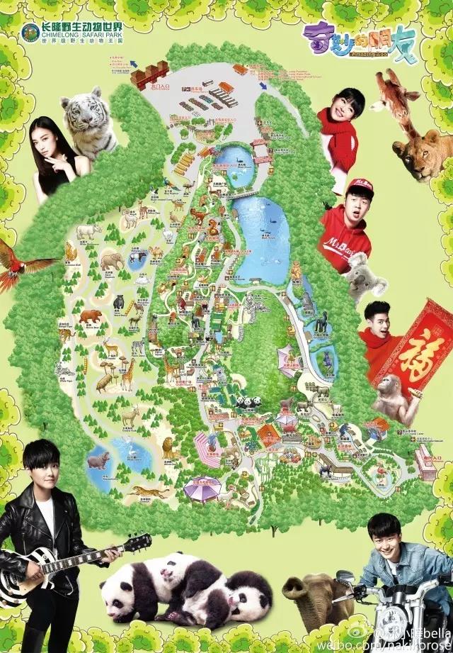 两大一小广州长隆亲子游攻略,最新广州长隆带娃游玩攻略2天