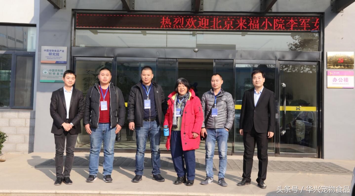 老人救助流浪狗20年,老奶奶收留50只流浪狗坚持了33年