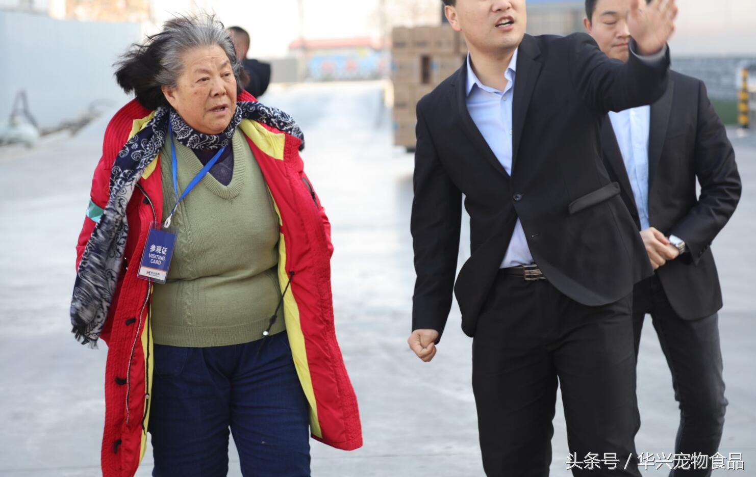 老人救助流浪狗20年,老奶奶收留50只流浪狗坚持了33年