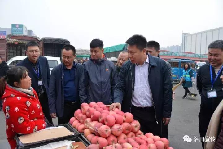 洛川苹果惊艳蓉城品牌知名度再升级