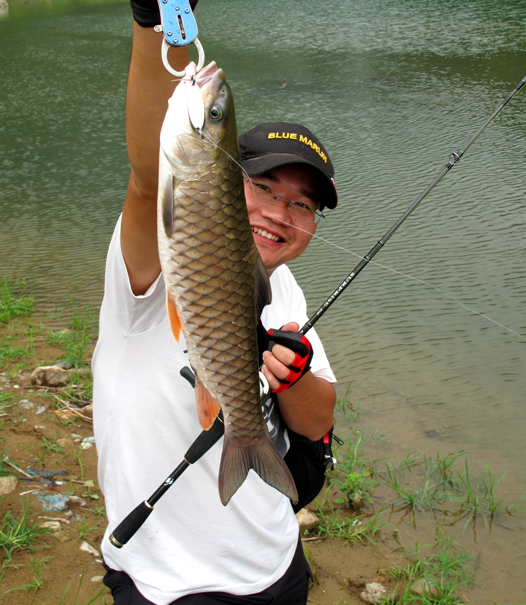 那件疯狂的小事叫爱情粤语,那件疯狂的小事叫爱情