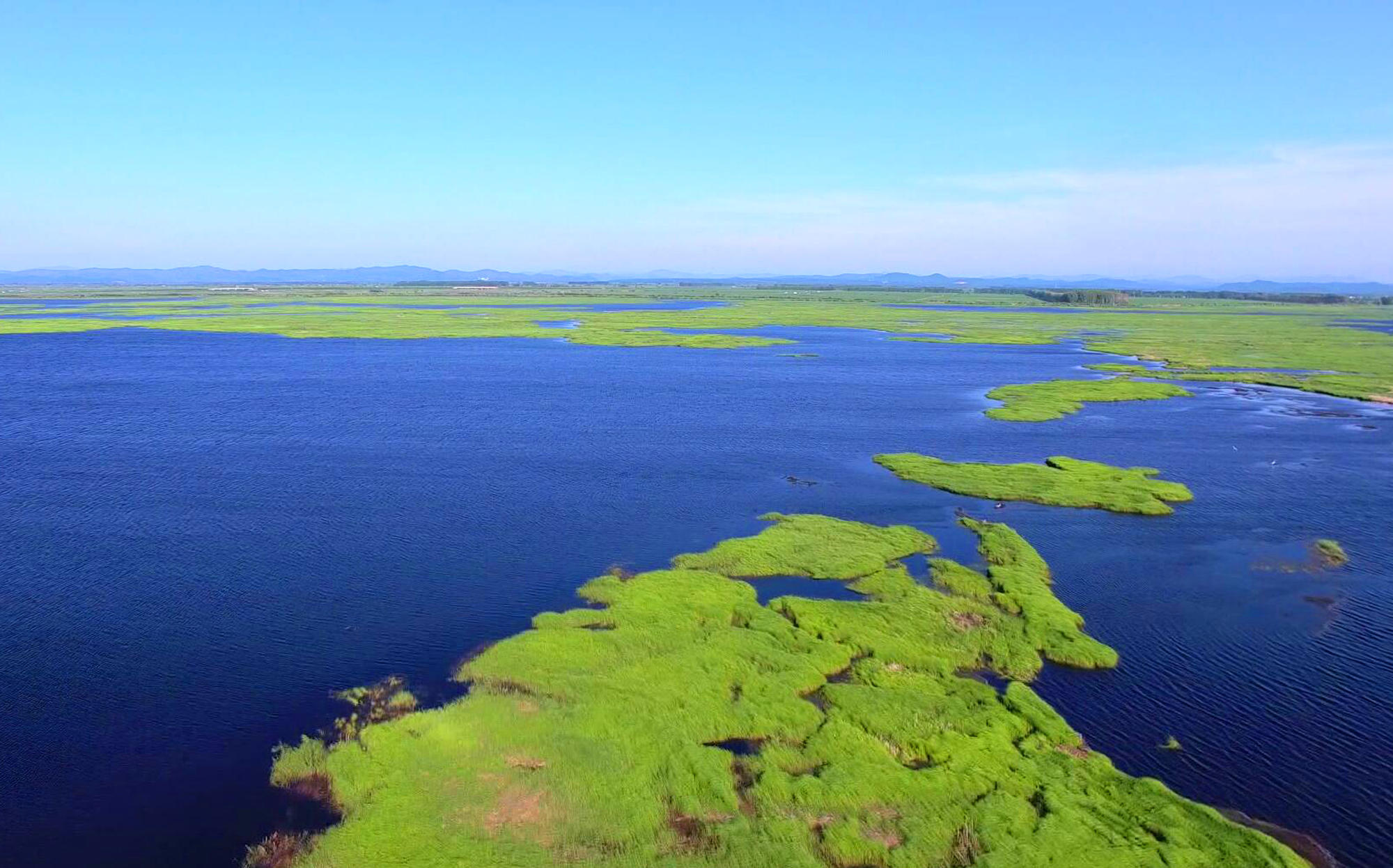 什么天气钓鱼最好最容易上鱼,什么风向钓鱼最难钓到大鱼