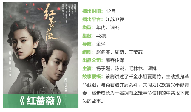 琅琊榜2司马懿当皇帝,大军师司马懿连续剧完整版解说