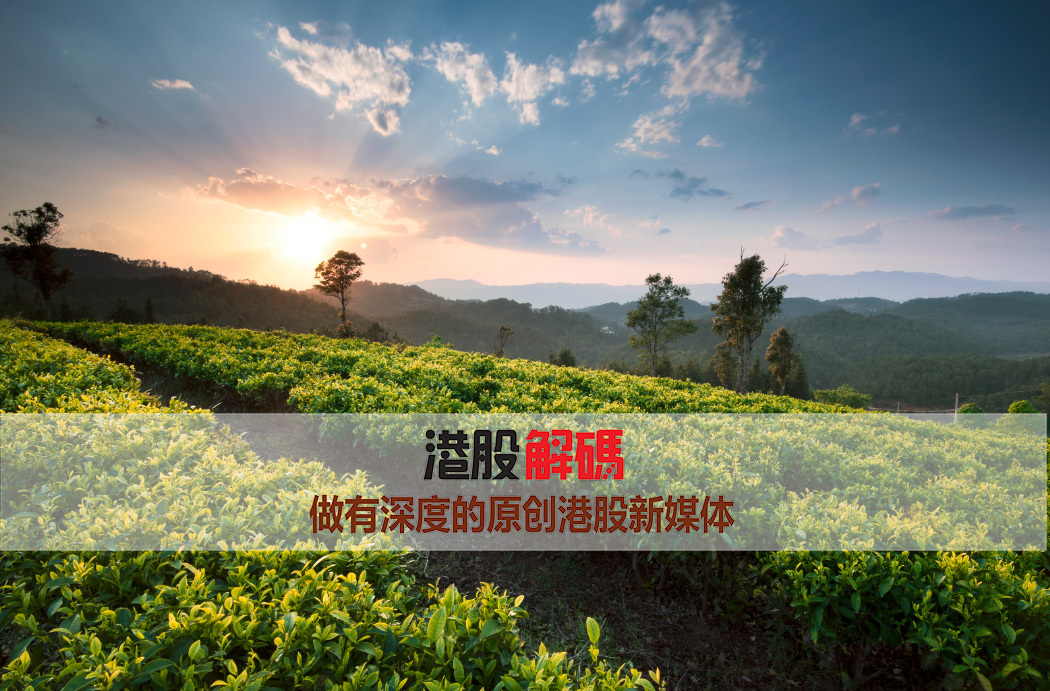 龙润茶业集团股票,龙润茶股价