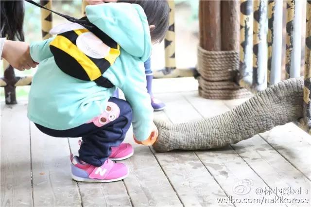 两大一小广州长隆亲子游攻略,最新广州长隆带娃游玩攻略2天