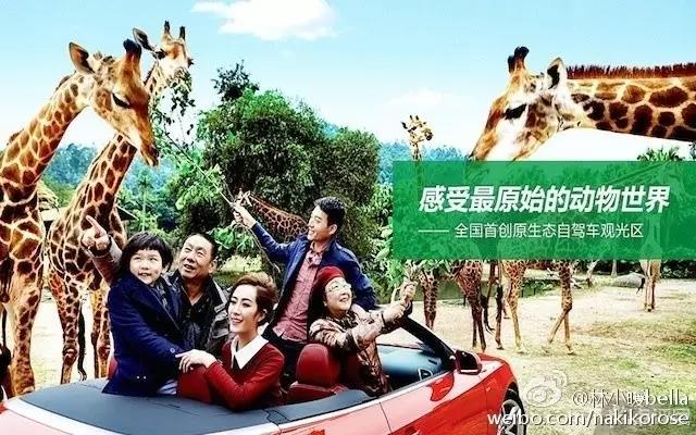 两大一小广州长隆亲子游攻略,最新广州长隆带娃游玩攻略2天