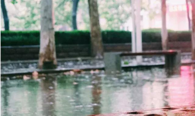 历城二中文化墙,手绘二年级作品