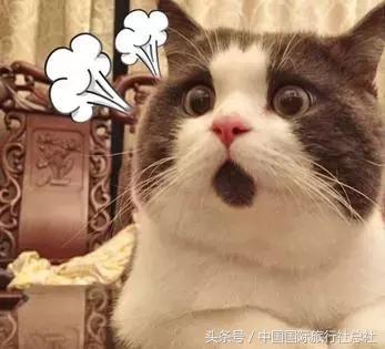 因为旅行,那个毫不起眼的胖子活成了我们最喜欢的模样