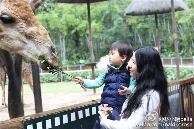 两大一小广州长隆亲子游攻略,最新广州长隆带娃游玩攻略2天