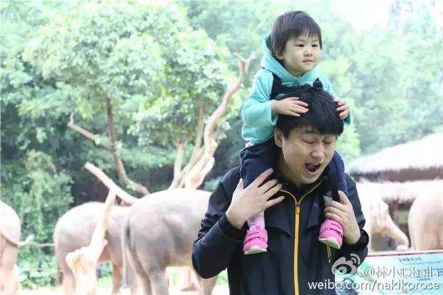 两大一小广州长隆亲子游攻略,最新广州长隆带娃游玩攻略2天