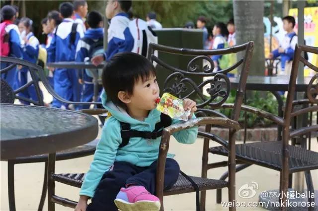 两大一小广州长隆亲子游攻略,最新广州长隆带娃游玩攻略2天