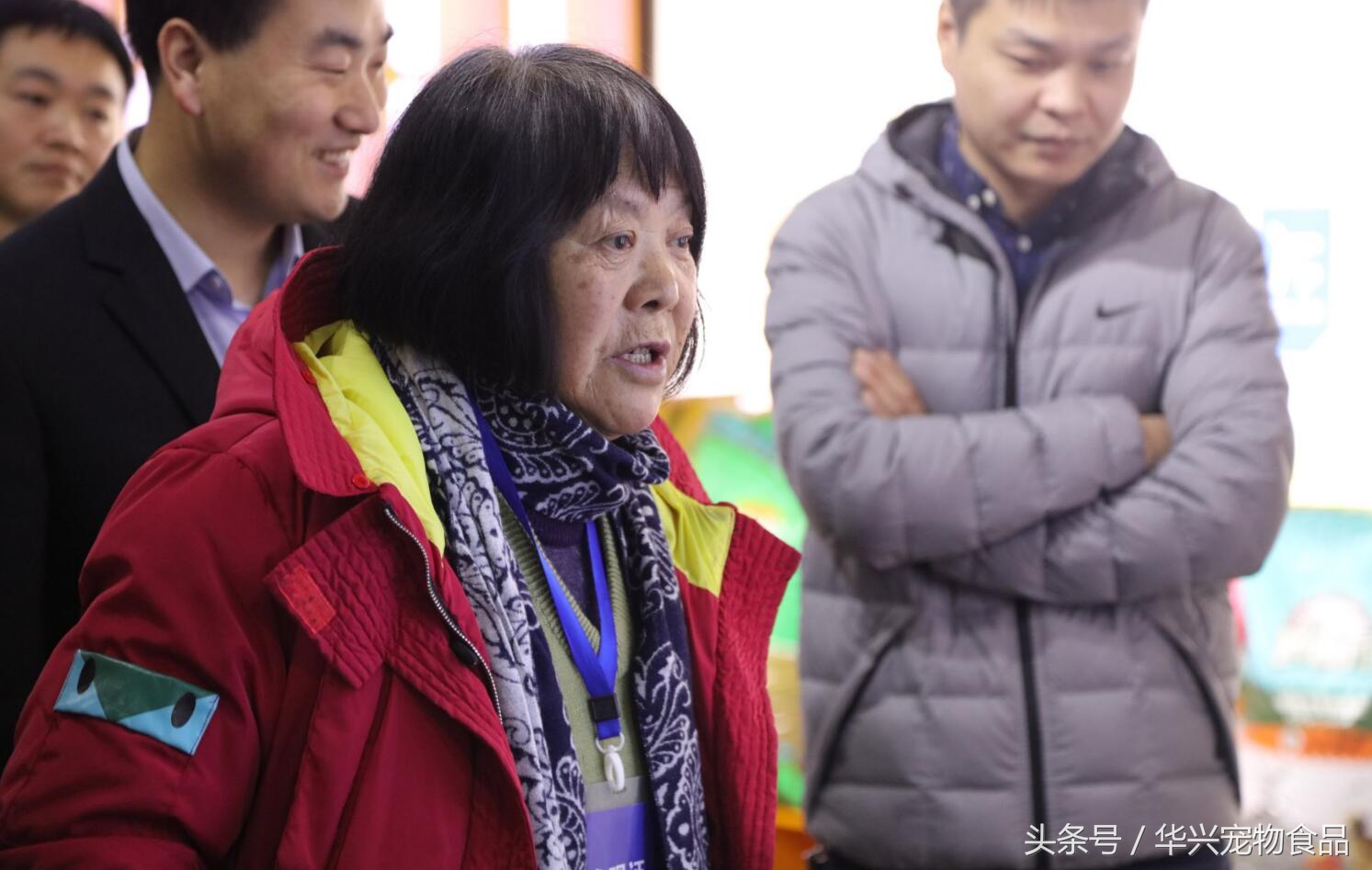 老人救助流浪狗20年,老奶奶收留50只流浪狗坚持了33年