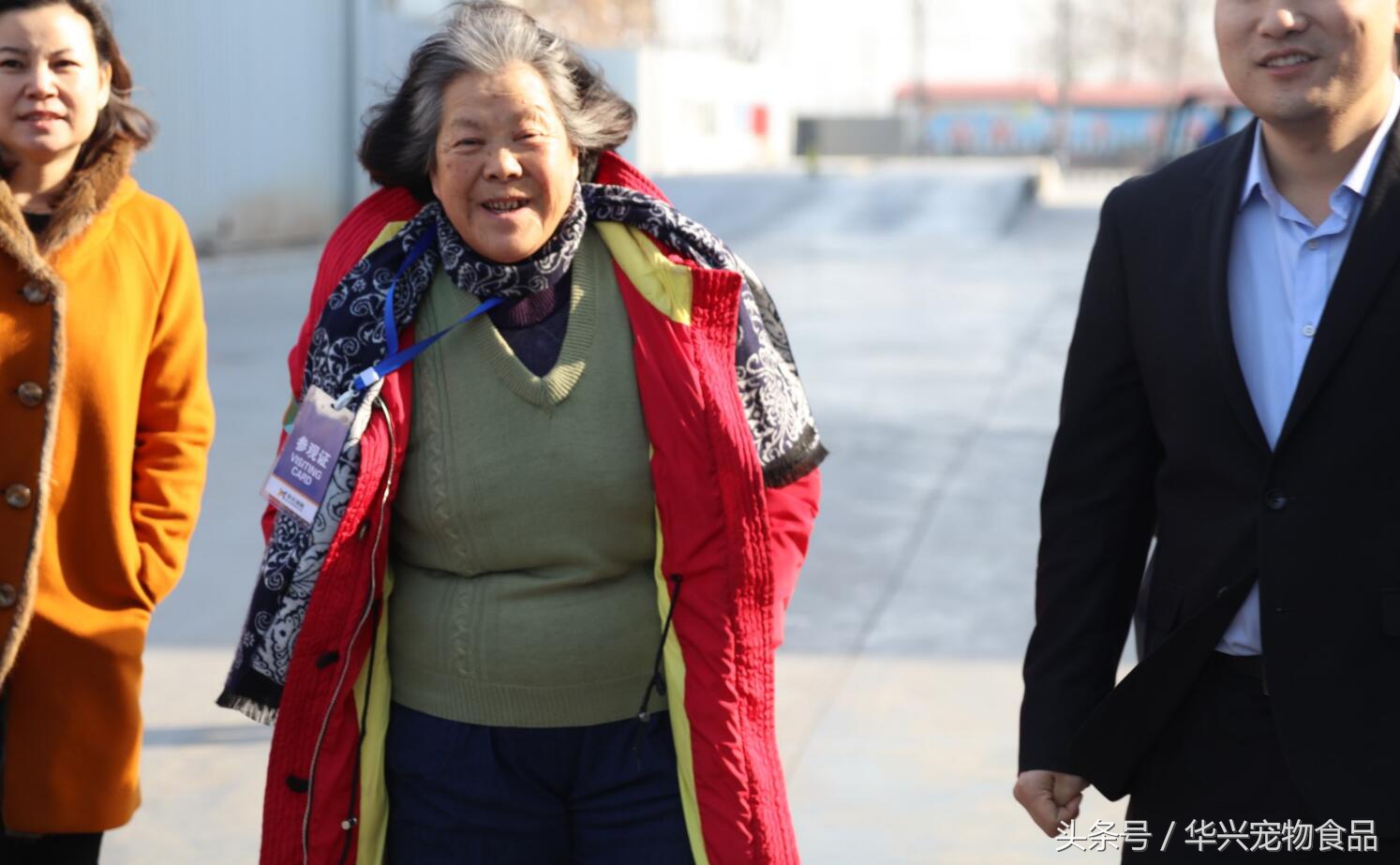 老人救助流浪狗20年,老奶奶收留50只流浪狗坚持了33年