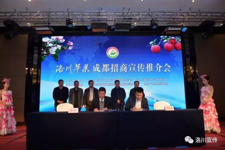 洛川苹果惊艳蓉城品牌知名度再升级