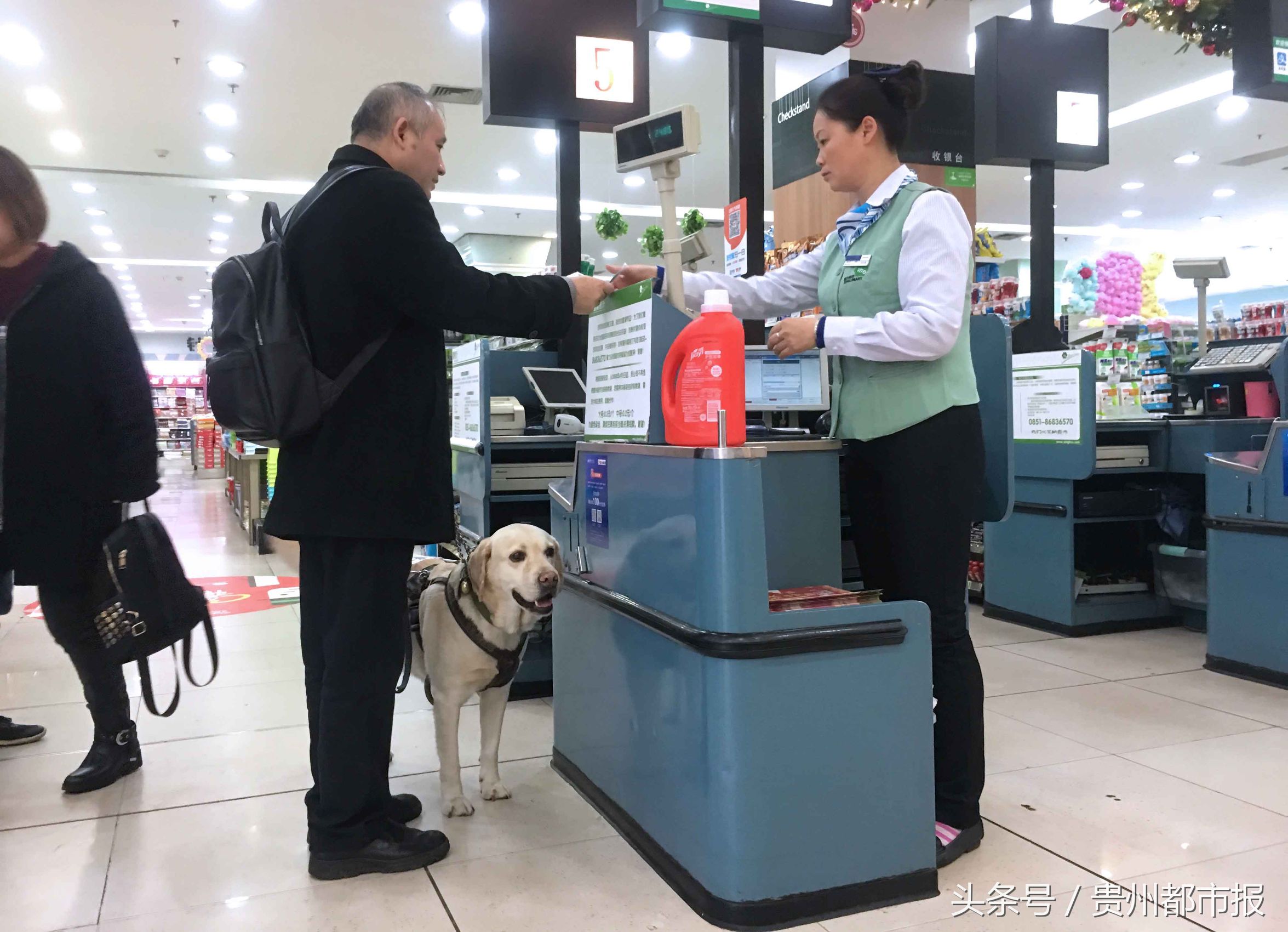 全球第一只导盲犬,史努比是第一只上太空的狗狗