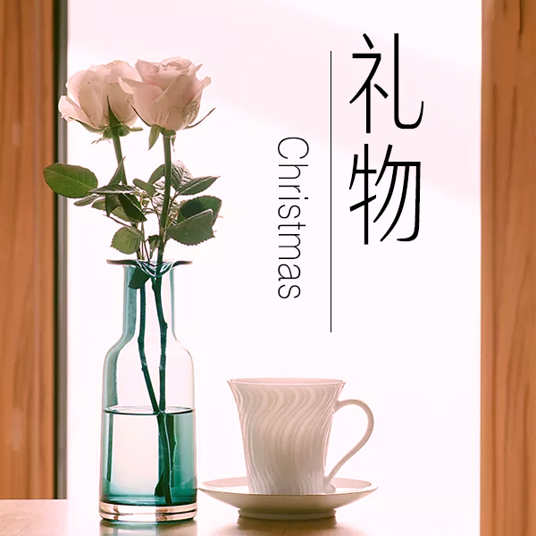 圣诞节送女朋友什么礼物便宜,异地恋圣诞节送女朋友什么礼物