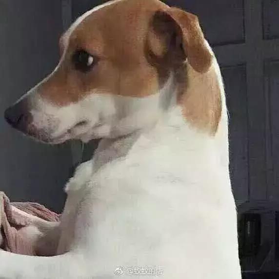 最后悔的时尚单品……那时候你爽了，现在你后悔了？！