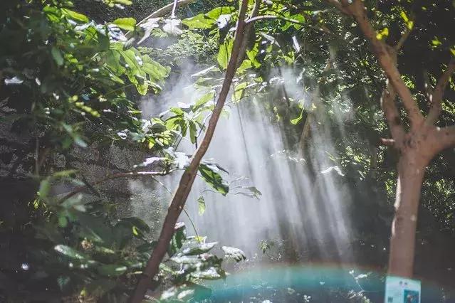 厦门旅游自由行攻略,厦门自由行旅游攻略