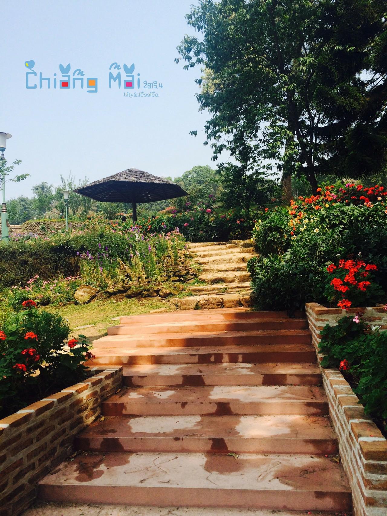 泰国清迈拜县自由行攻略,泰国包车去清迈到拜县