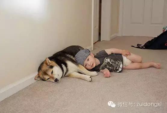 最好用的湿喷机,最强除湿机