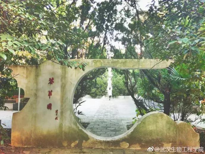 武汉地铁2号线游玩攻略沿线商圈,武汉地铁四号线哪里值得去玩