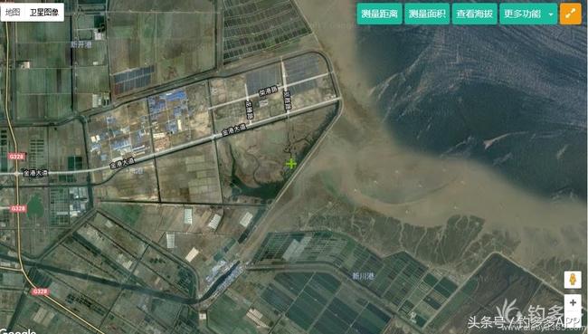 一年四季都可以钓的鱼种,一年四季可钓的鱼种