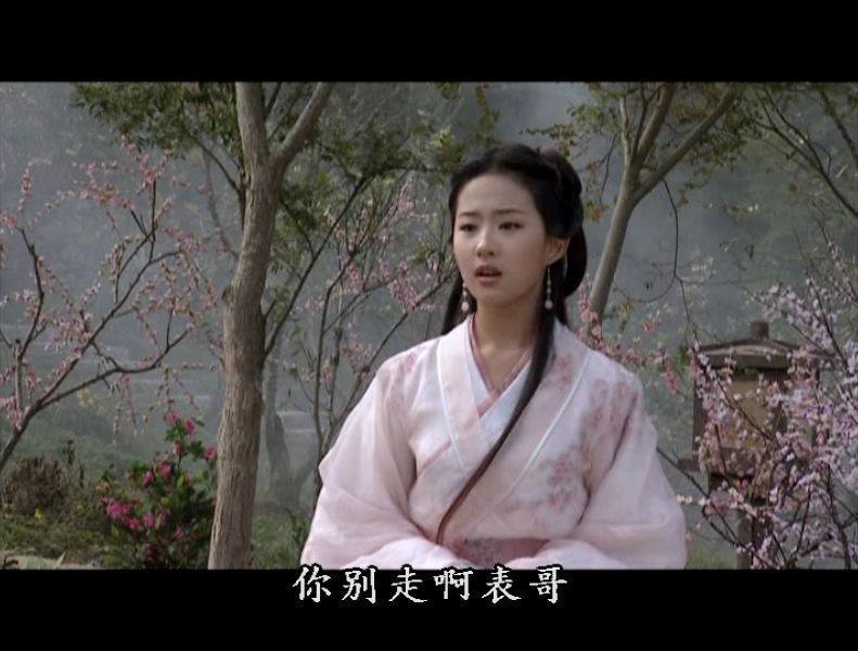 武侠世界的探索,学术交流概况