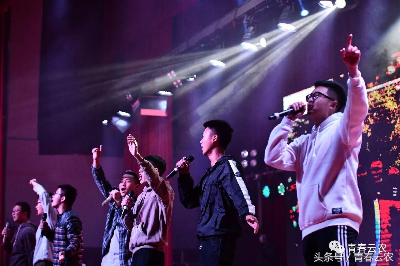 社团嘉年华会场,社团嘉年华图片大全