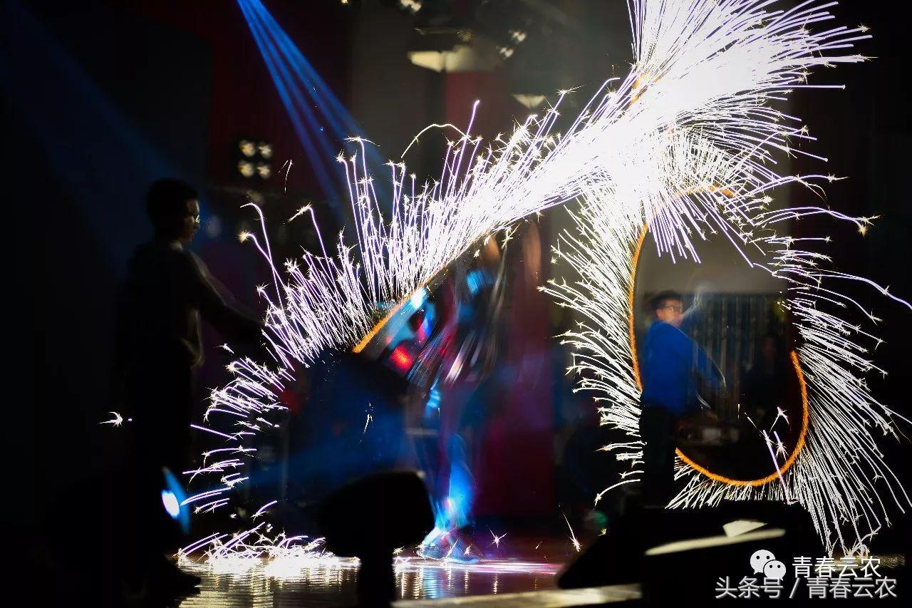 社团嘉年华会场,社团嘉年华图片大全