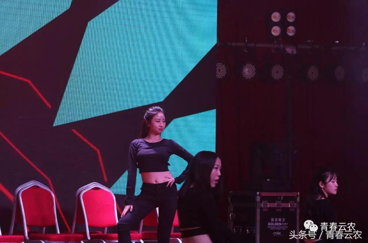 社团嘉年华会场,社团嘉年华图片大全