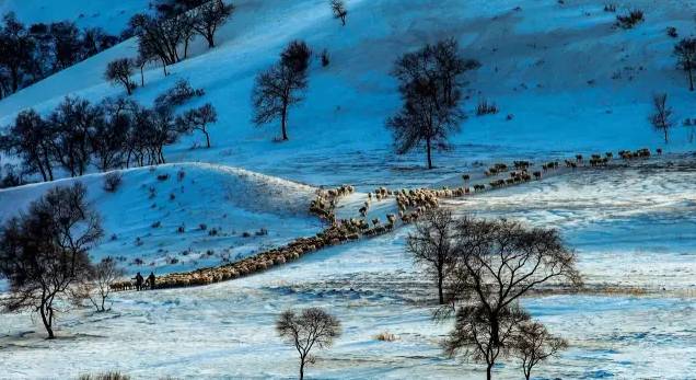 冬天值得去的旅游景点自驾游,冬季值得去旅游的十大地方