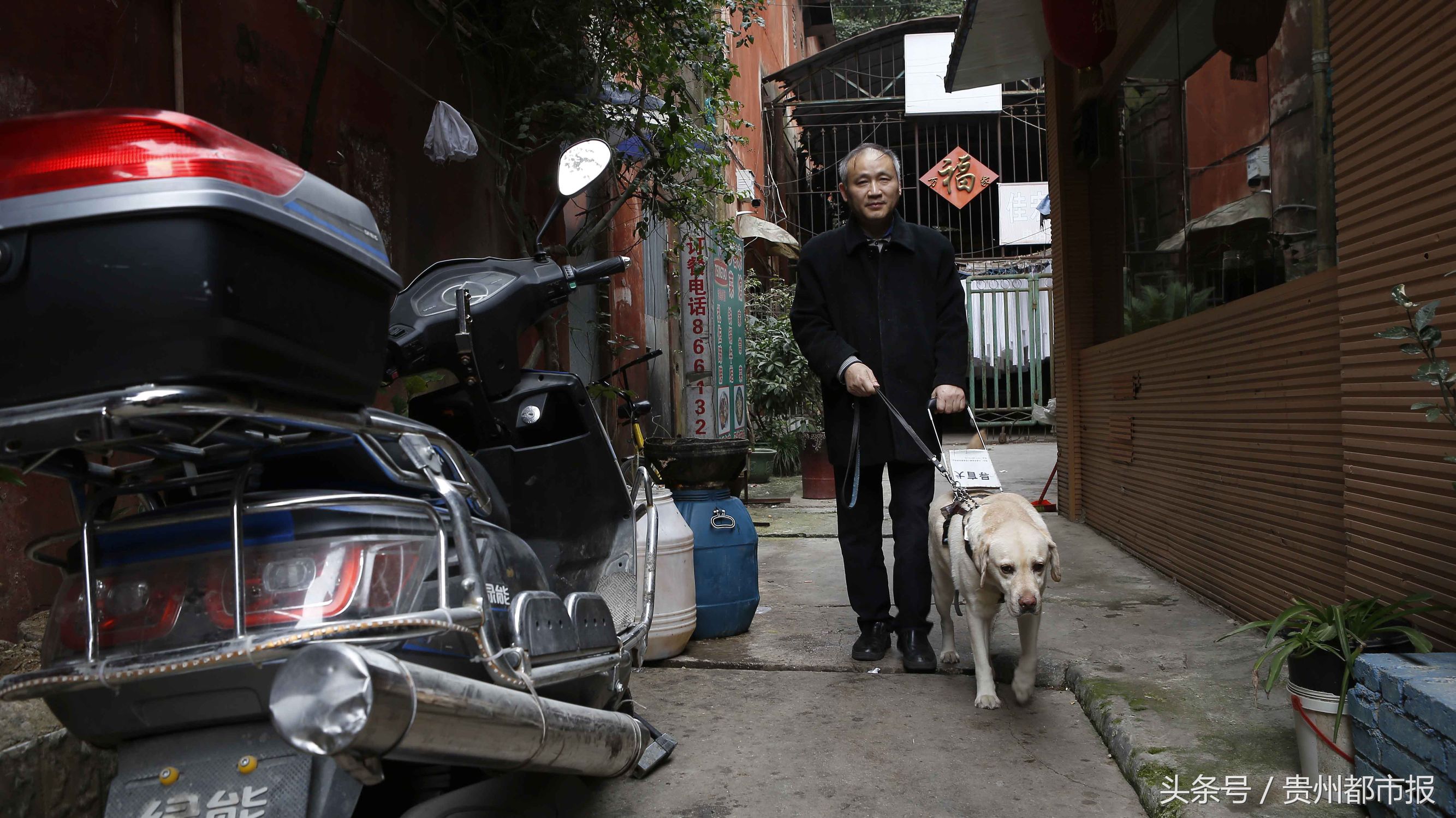 全球第一只导盲犬,史努比是第一只上太空的狗狗