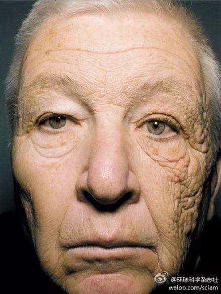 精致小学生在学校的一天,精致的小学生