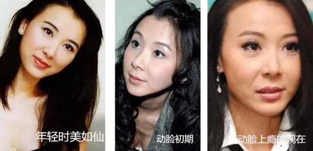 精致小学生在学校的一天,精致的小学生