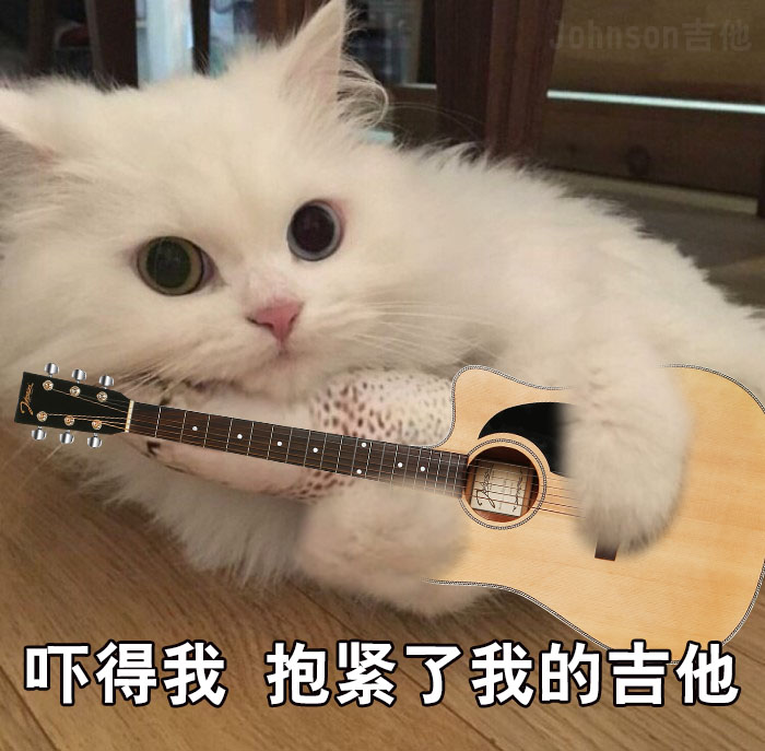 史上最全RecordingKing琴试听和介绍！