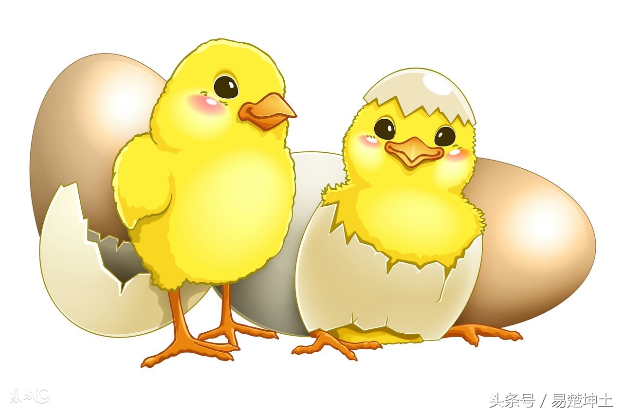 2022年12月属马射手座运势,十二生肖午马未羊申猴酉鸡