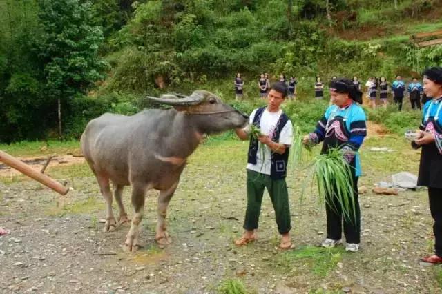 中国云南河口口岸,云南河口通商口岸开放